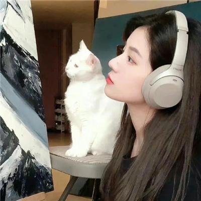 帕美嘉