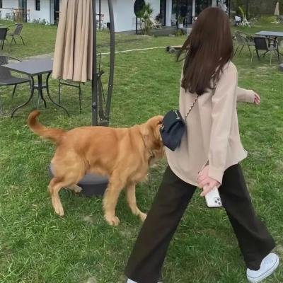 疯狂追击者